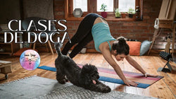 DOGA: Yoga para ti y para tu peludo